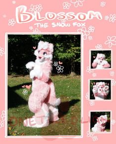 Blossom Blossom