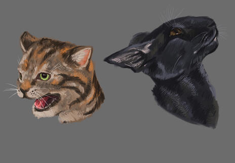 byler kitties byler kitties